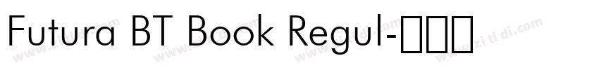 Futura BT Book Regul字体转换